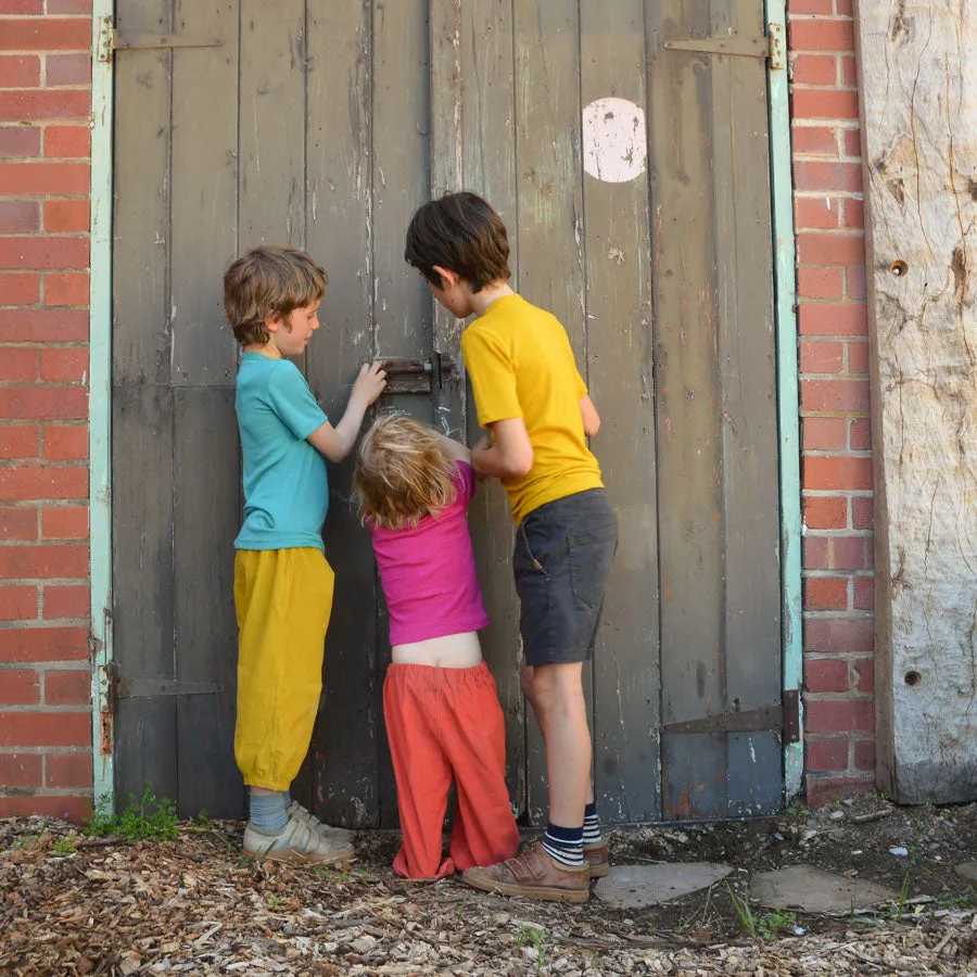 Child's Merino/Silk T-Shirt (1-14y)