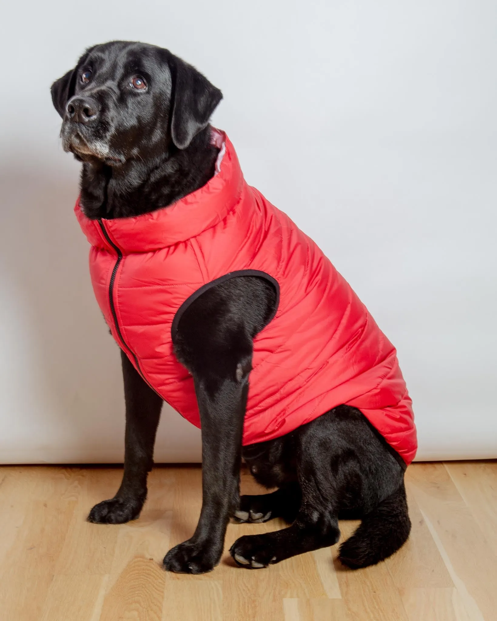 Reversible AiryVest in Strawberry   Blush (DOG & CO. Exclusive) (FINAL SALE)