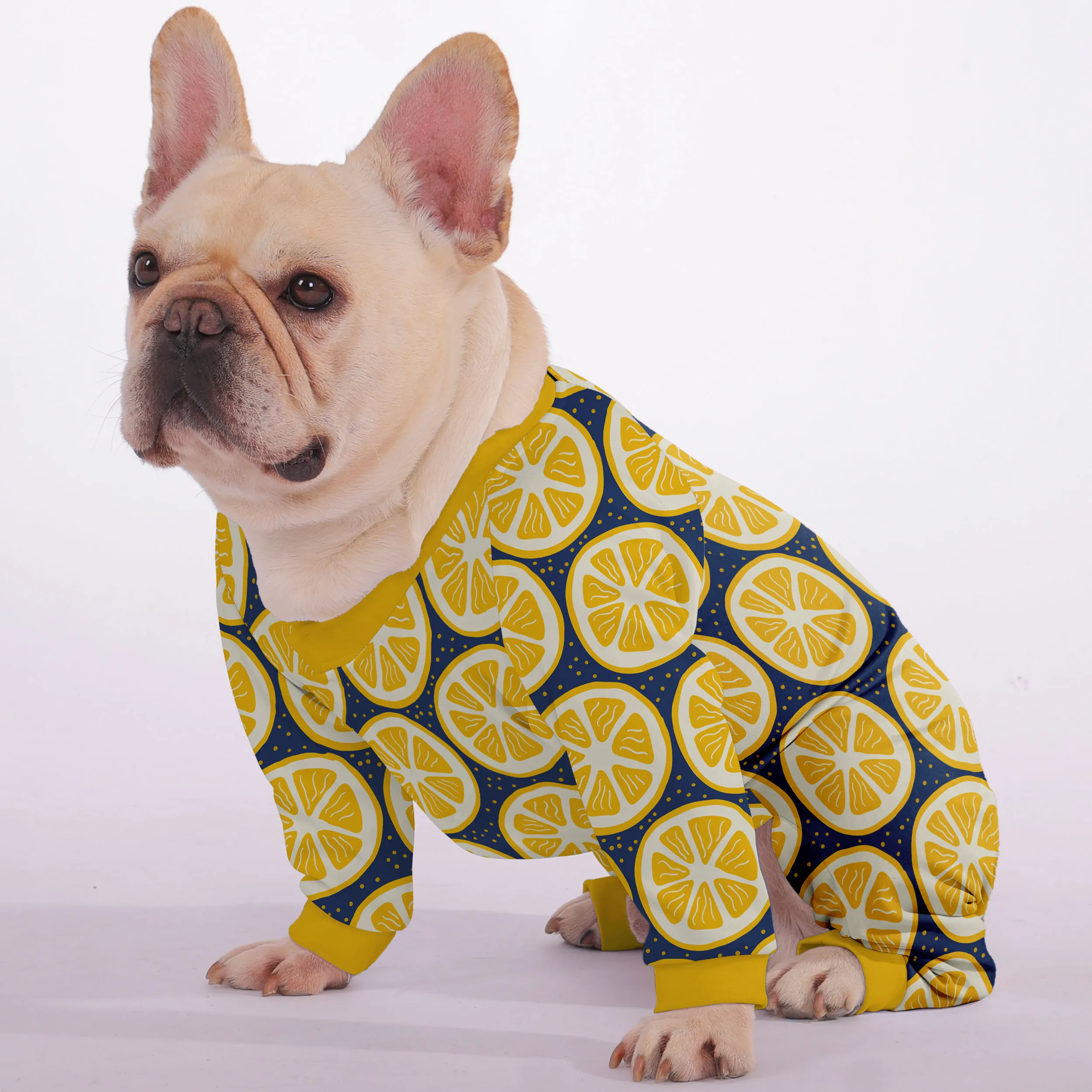 Tanya - Frenchie Pajamas – Ultra-Soft, Cozy, & Adorably Stylish